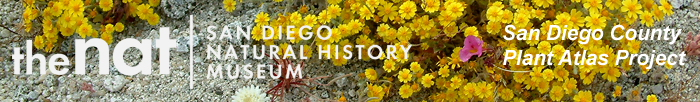 Visit San Diego Natural History Museum